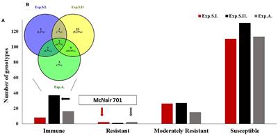 Genome-Wide Screening of Broad-Spectrum Resistance to Leaf Rust (Puccinia triticina Eriks) in Spring Wheat (Triticum aestivum L.)